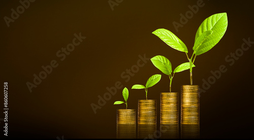 Junge Pflanze als Symbol für Vermögenswachstum