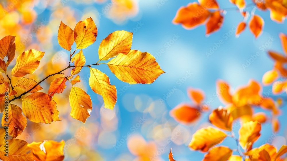 Autumn Leaves Against a Blue Sky, Generative AI Autumn Leaves Against a Blue Sky, Generative AI