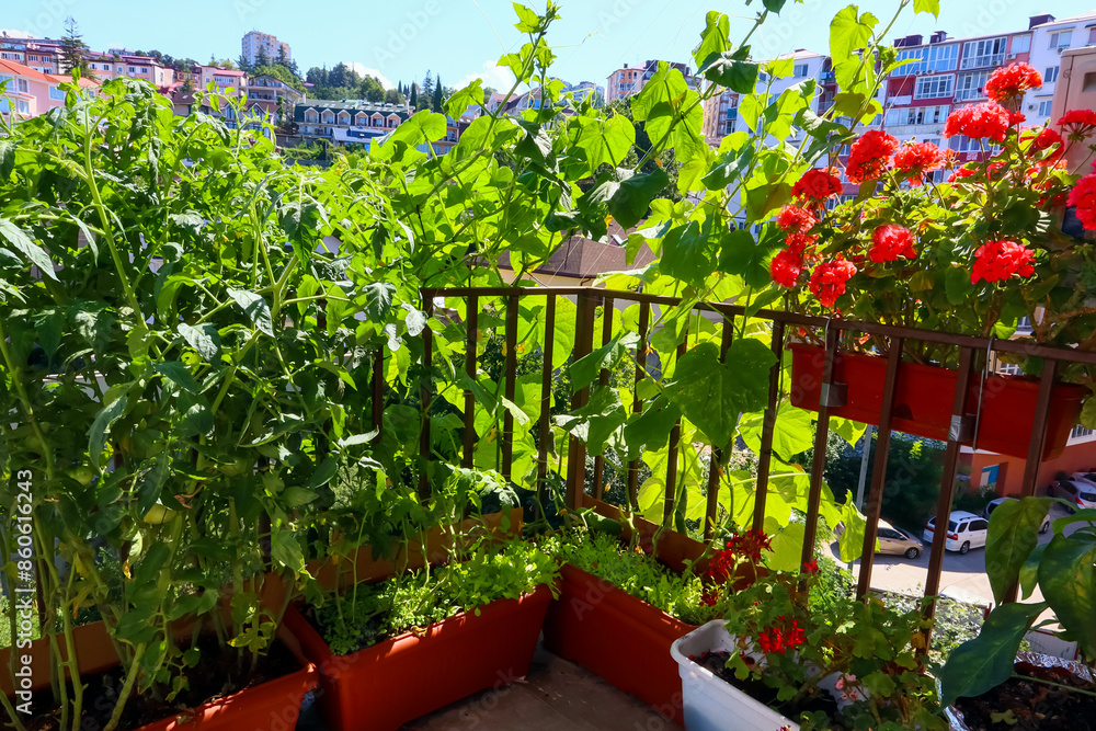 Obraz premium garden with flowers