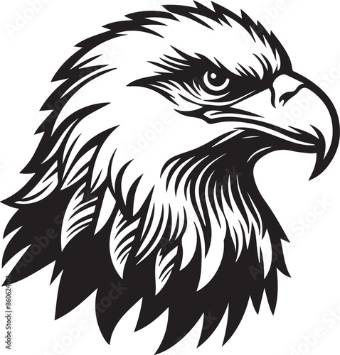 eagle head isolated on white