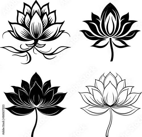 Silhouette of lotus flower