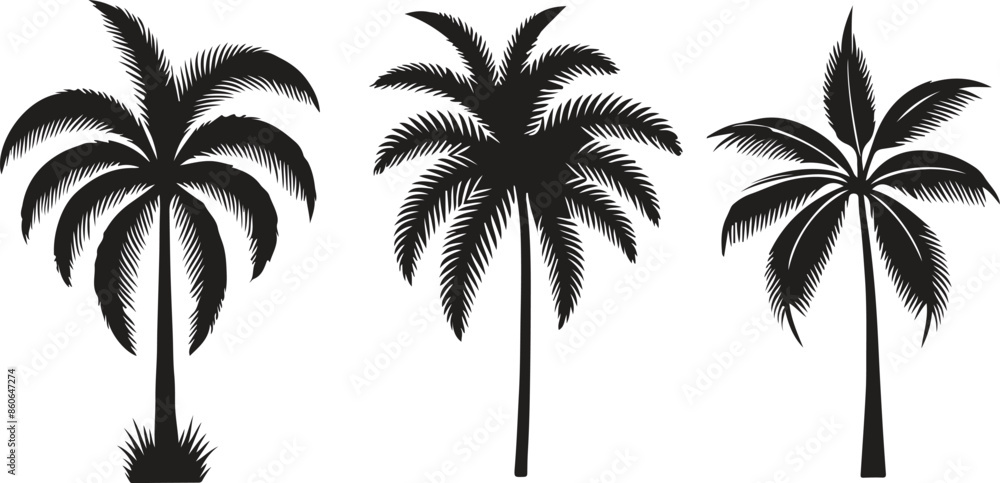 palm tree silhouette palm tree silhouette