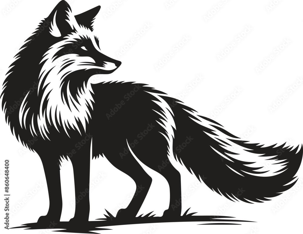 fox cartoon isolated on white fox cartoon isolated on white