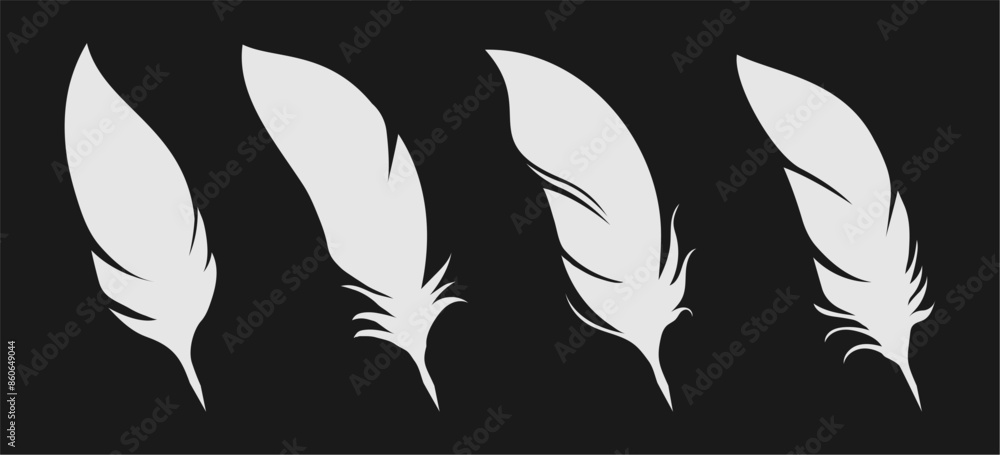 quill feathers pen quill feathers pen