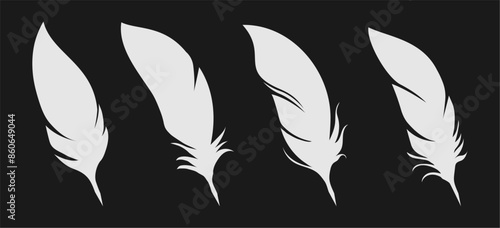 quill feathers pen