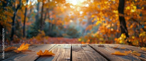 Autumn Leaves on a Wooden Table in a Sunlit Forest