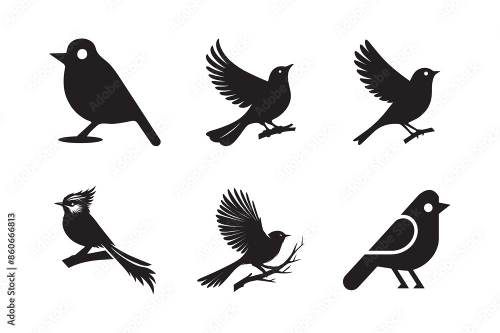 Obraz premium Set of silhouettes of birds Vector illustration white background.