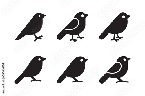 Set of silhouettes of birds Vector illustration white background