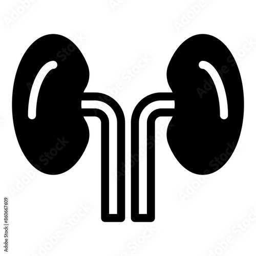 kidneys glyph icon vector illustration isolated on white background