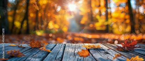 Autumn Leaves on a Wooden Table in a Sunlit Forest