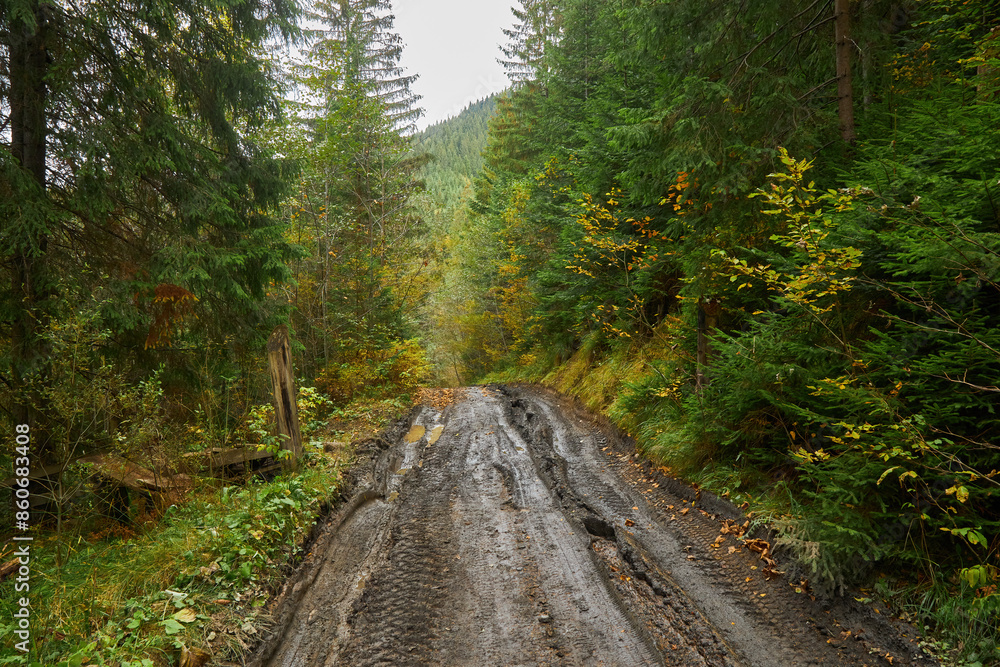 dirt road leading through an autumn forrest. Fall in the woods, colorful trees and a muddy road. dirt road leading through an autumn forrest. Fall in the woods, colorful trees and a muddy road.