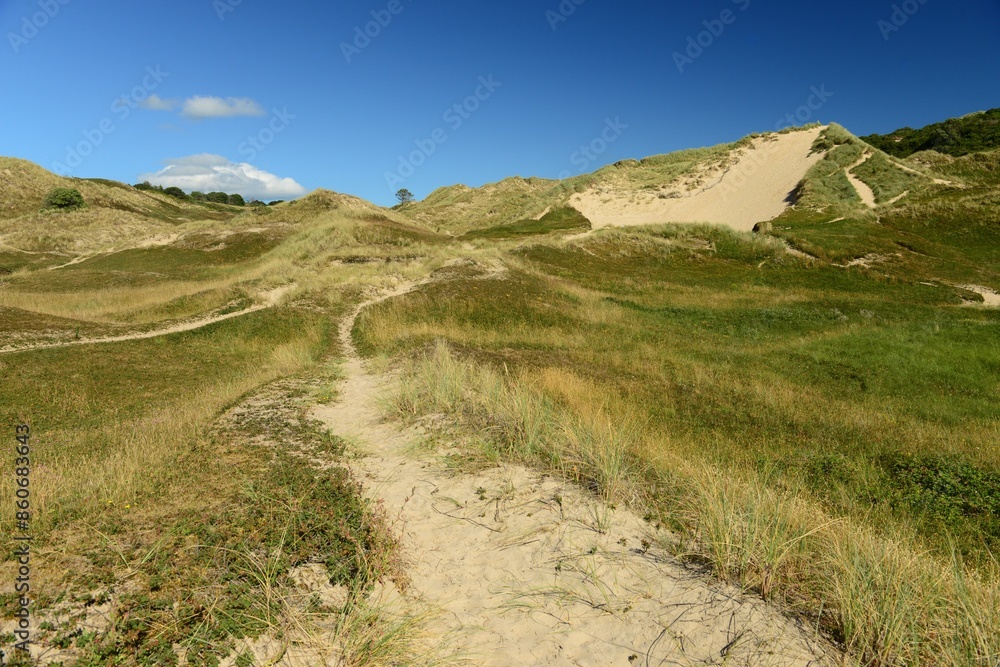 Fototapeta premium Les Mielle, Sand dunes, Jersey, U.K. Nature reserve in the Summer.