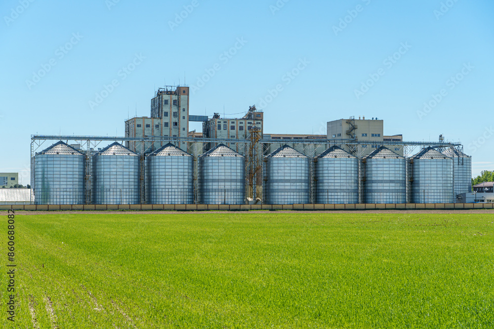Fototapeta premium silver silos on agro manufacturing plant for processing drying cleaning and storage of agricultural products, flour, cereals and grain. Large iron barrels of grain. Granary elevator