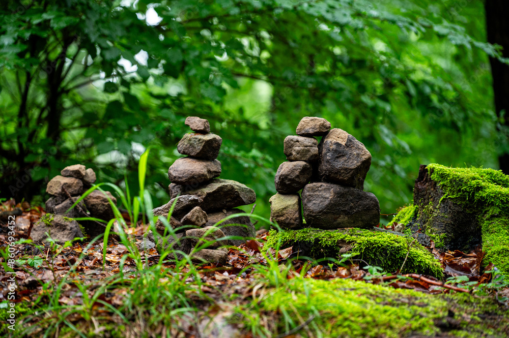 Garten, Pflanzen, Cannabis, Blüten, Schnecken, Tiere, Blumen Garten, Pflanzen, Cannabis, Blüten, Schnecken, Tiere, Blumen