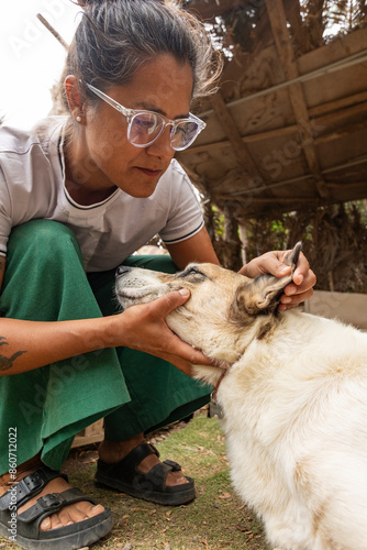 Female veterinarian examining a dog in a rural setting