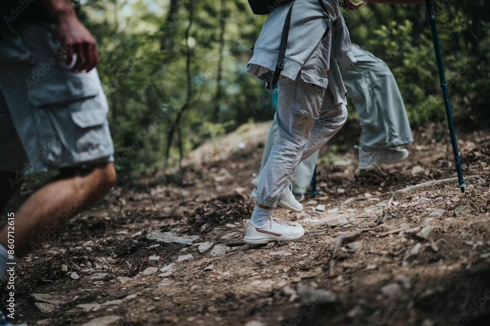 Hikers walking along a rocky forest trail with trekking poles, exploring nature and enjoying an outdoor adventure. Hikers walking along a rocky forest trail with trekking poles, exploring nature and enjoying an outdoor adventure.