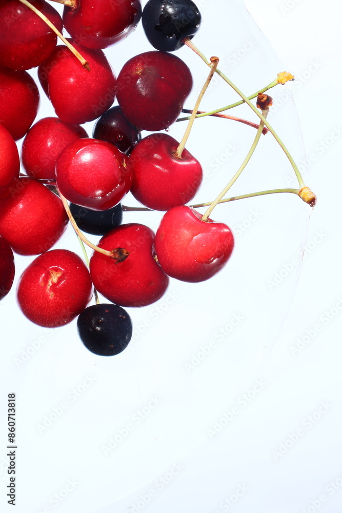 juicy bright red cherries in water on a white background juicy bright red cherries in water on a white background