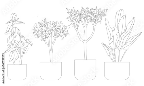 collection plantes intérieur en pot vecteur trait