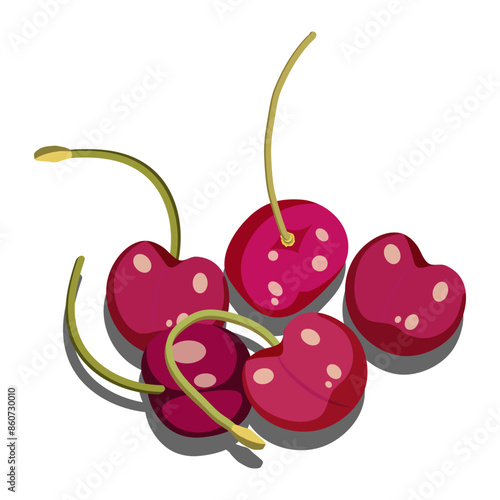 Some ripe red cherries with shadow on white background. Summer fruits. Food vector illustration.