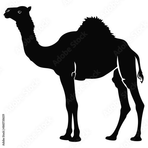 camel set silhouette