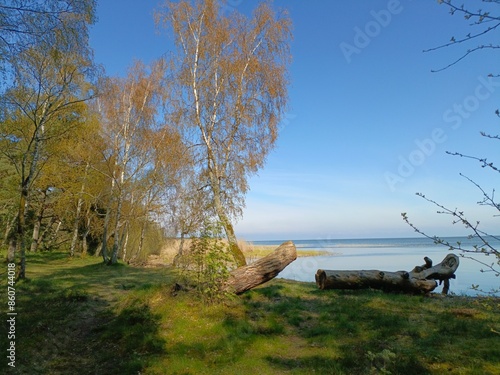 natural landscape overlooking the Curonian Lagoon