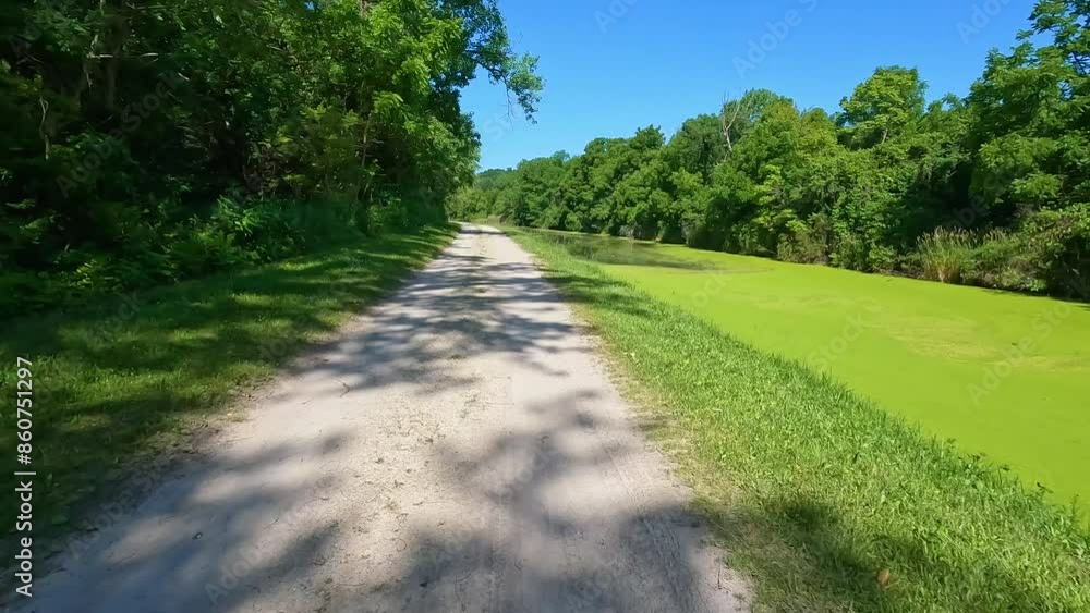 Hiking a dirt trail along a canal covered in algae. Located along the Historic Illinois and Michigan Canal, on the I and M Canal State Trail system. Hiking a dirt trail along a canal covered in algae. Located along the Historic Illinois and Michigan Canal, on the I and M Canal State Trail system.