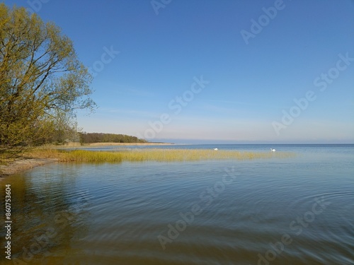 calm and water surface in the Curonian Lagoon