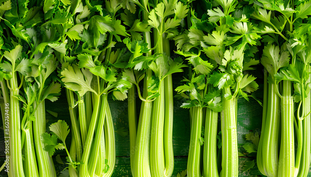 Fototapeta premium Many fresh green celery bunches as background, top view
