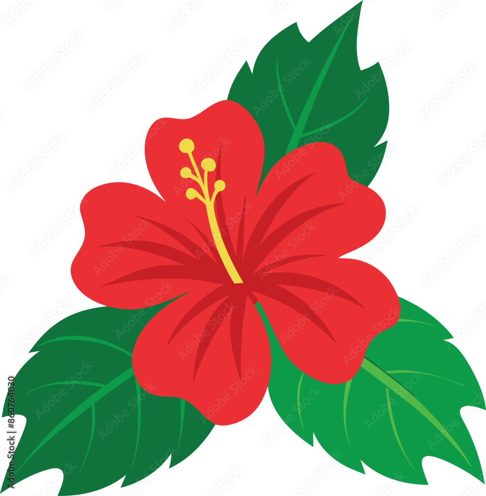 Obraz premium Hibiscus flower vector