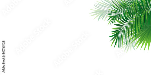 Amazon rainforest border frame with exotic jungle plants, coconut palm leaves and place for text. Green tropical foliage vector background. tropic banner design for travel, vacations card and posters