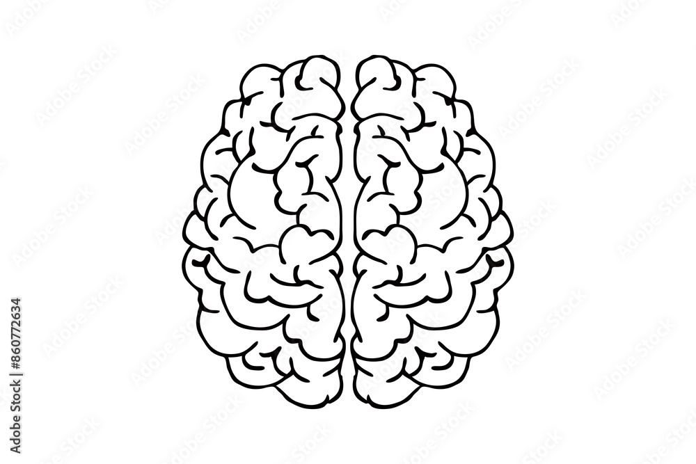 Human brain icon isolated on white background Human brain icon isolated on white background
