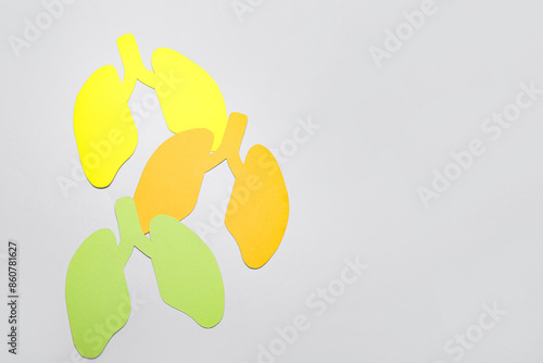 Colorful paper cut lungs on...