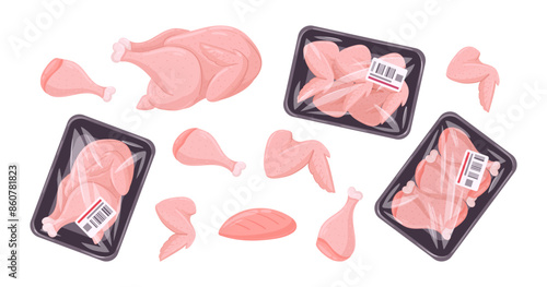 Chicken meat. Raw chicken or turkey with legs and wings, chicken fillet and frozen chicken meat flat vector illustration set. Turkey meat on white background