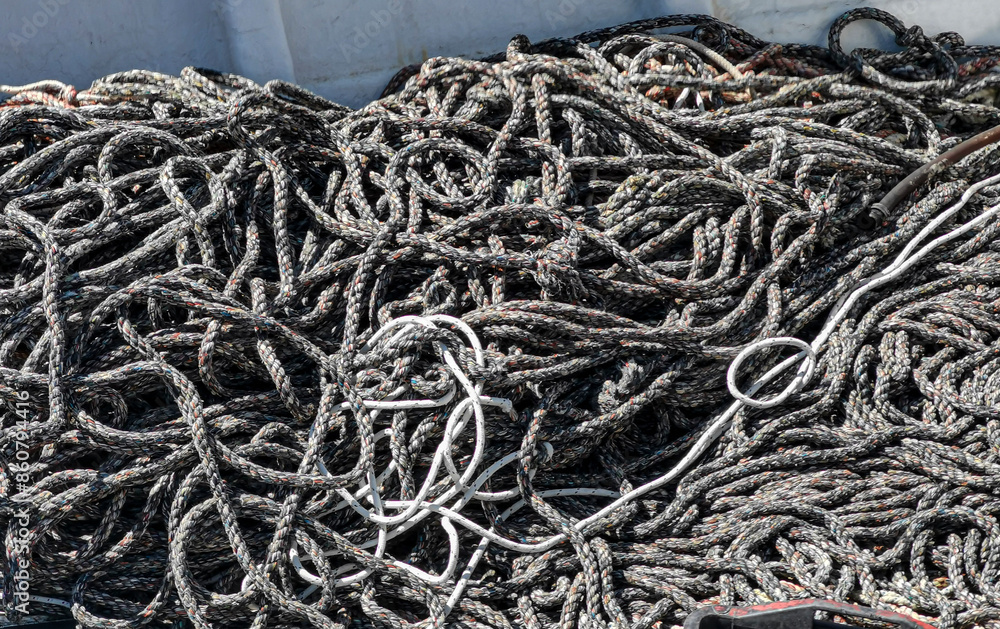 On the table, there are ropes, plants, metal, and wire On the table, there are ropes, plants, metal, and wire