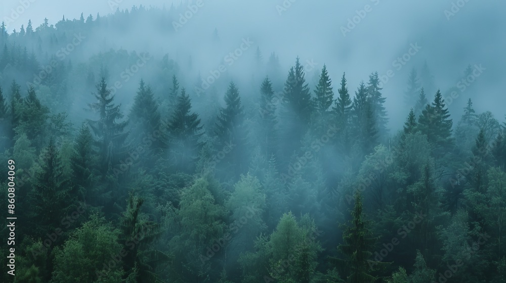 Fototapeta premium forest in the fog ai generated