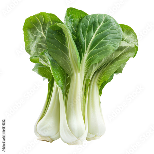 Fresh pak choi isolated on white background. Green and white crisp leaves perfect for healthy cooking and salads.