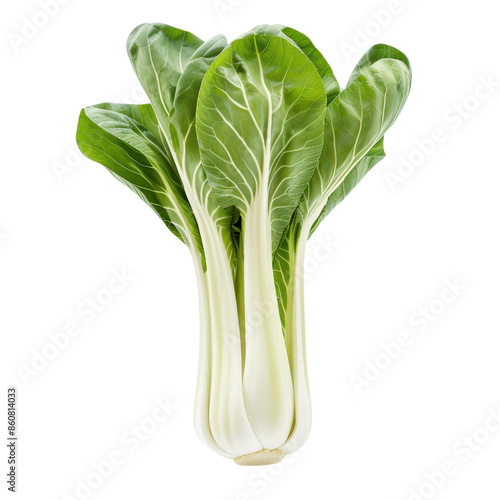 Fresh pak choi with green leaves and white stalks, isolated on a white background, perfect for culinary and nutrition concepts.