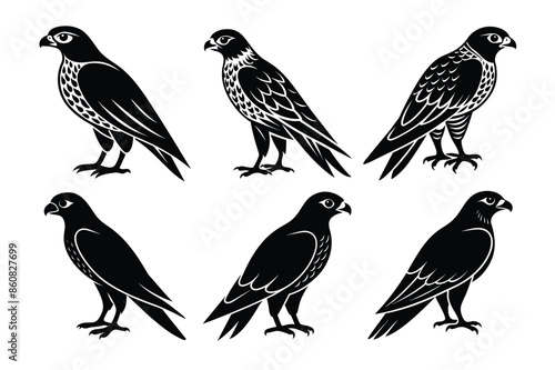 Wallpaper Mural Falcon silhouette vector illustration Torontodigital.ca