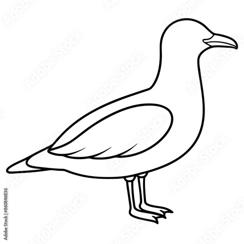line art icon illustration of seagull photo
