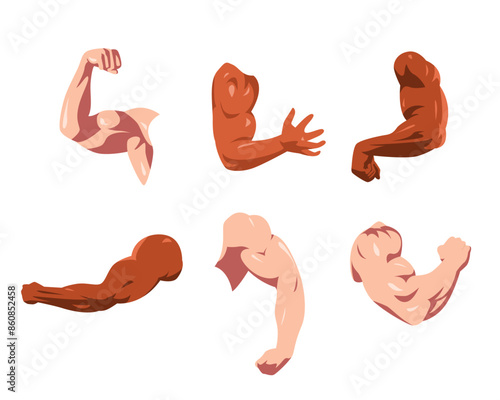 Set collection of male biceps muscles. Flexing biceps, strong arm. Different skin tones. Flat vector illustration style.