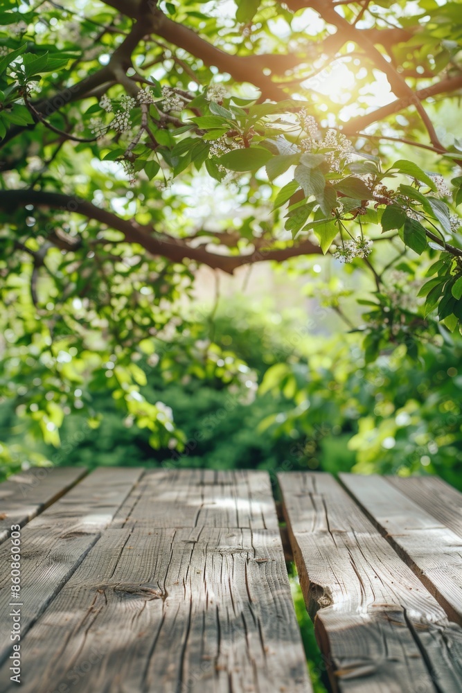 A wooden table with a tree in the background, suitable for outdoor settings or rustic themes A wooden table with a tree in the background, suitable for outdoor settings or rustic themes