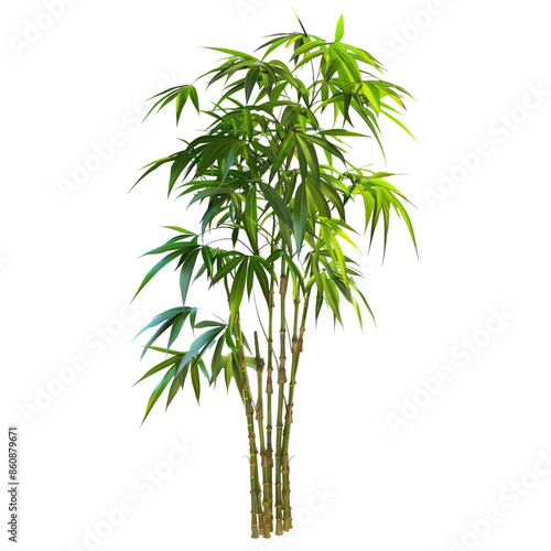 abstract 3d cartoon bamboo money tree 