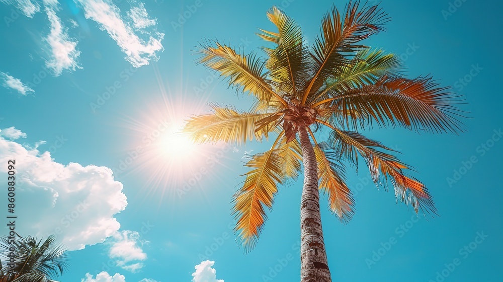 White Frame Enhanced Tropical Palm Tree Silhouette at Sunset White Frame Enhanced Tropical Palm Tree Silhouette at Sunset