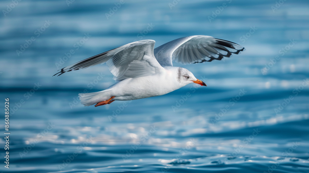 Seagull flying over blue water, AI Generative. Seagull flying over blue water, AI Generative.