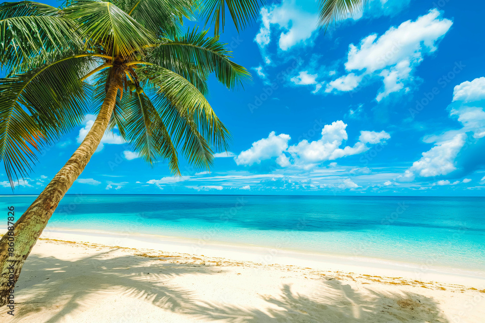 Fototapeta premium Tropical white sand beach with coco palms and the turquoise sea on