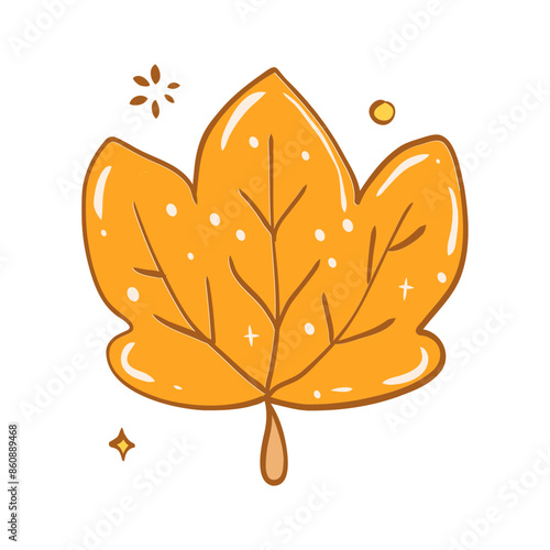 maple