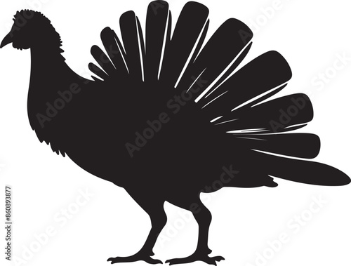 Turkey Silhouette Vector Illustration White Background photo