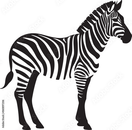 Zebra Silhouette Vector Illustration White Background