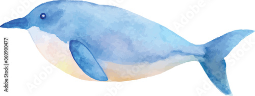 dolphin isolated on white background