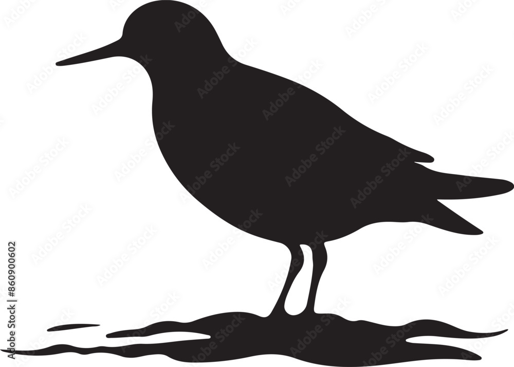 Sandpiper Silhouette Vector Illustration White Background Sandpiper Silhouette Vector Illustration White Background